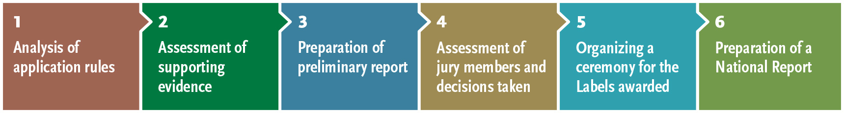 Steps of Assessment Process